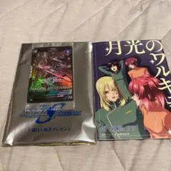 月光のワルキューレ　ガンダムSEEDフリーダム