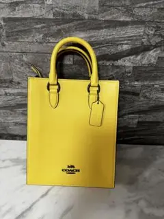 Item thumbnail for item 5b4d3409-56f1-46c8-9c8d-ee52cee0814a