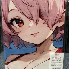 萌えタオル タペストリー DrSTONE ルーナ・ライト1