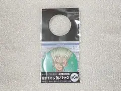 Dr.STONE 缶バッジ 千空
