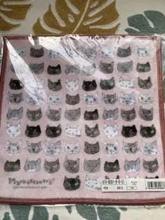 Item thumbnail for item 0afae0cb-8667-4f1a-b79b-306b694e31f7