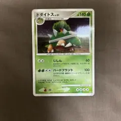 ドダイトス DP キラ