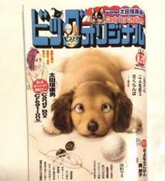最新号　ビッグコミックオリジナル　2025.8.20 No.1538 16
