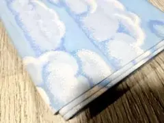 大大大SALE✨見切り品 【廃番】シーチング　空