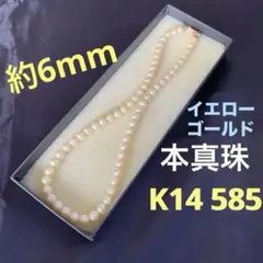 Item thumbnail for item a7a72988-d691-4353-b926-4ba56b2cb24a