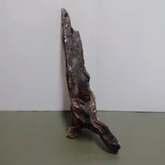 Item thumbnail for item ab99838d-8f47-40cd-a1aa-2ba1e33877d2