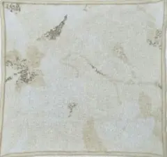 Item thumbnail for item 16e68b6d-c301-4280-b1f8-694497746251