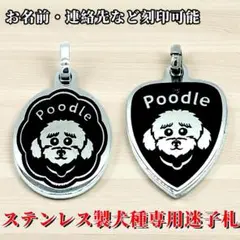 Item thumbnail for item 8f082ae7-b6c5-4697-b05a-7e418c76371e