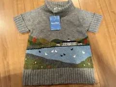 Item thumbnail for item d7d89745-527d-4478-b015-950635ff764c