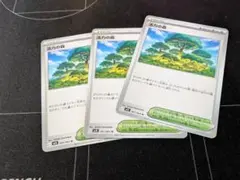 ポケモンカード　メガシンフォニア　U 活力の森　3枚セット