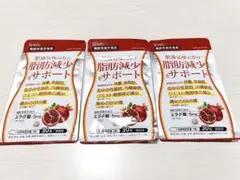 Item thumbnail for item 3089828c-6ced-4f7f-ac18-5f1f4676c33b