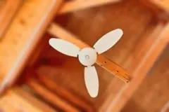 Item thumbnail for item a7714b5a-3250-40ec-a8e1-0a1e0b87edf6