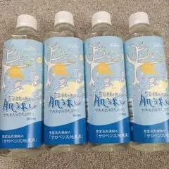 豊富温泉 肌うれし 500ml×10本 新品未使用❣️ 楽天市場】【ふるさと納税】 サロベツ大地恵泉 500ml ( 選べる