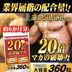 SNSで話題❗️20倍超濃縮マカ アルギニン クラチャイダム 6か月 360粒