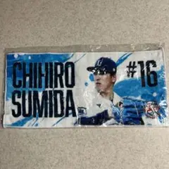 埼玉西武ライオンズ　ガチャ　長方形ミニタオル　隅田知一郎