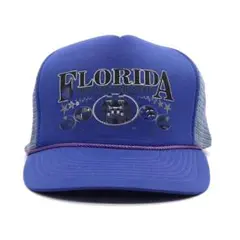 Item thumbnail for item 250a8966-925a-4873-8406-c21dfca509ba