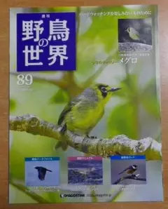 週刊野鳥の世界全121巻揃い　ティアゴスティニ発行　定価70180円 美品 週刊野鳥の世界全121巻揃いティアゴスティニ発行定価70180円 美品