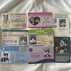 なめ猫 カード 11枚 セット