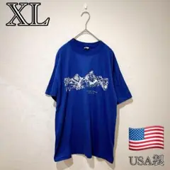 USA製 メンズ XL マウンテン プリント Tシャツ ブルー 青 登山