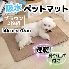 Item thumbnail for item 49f90d90-4b39-4058-b0a7-cdd3c604c4d8