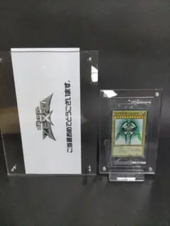 光の創造神ホルアクティ 未開封