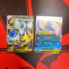 メガアブソルex SAR メガアブソルex RR