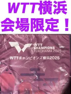 WTTチャンピオンズ横浜　会場限定ひんやりクールタオル　新品未開封品！