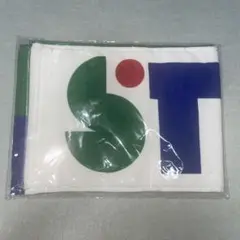 Item thumbnail for item 5c3b312d-586f-4523-b466-fd3e380d5cef