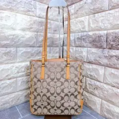 COACH　Signature Tote Bag　6090　brown＠○