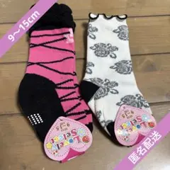 Item thumbnail for item 96d5d10e-3409-4e9b-90eb-2376b8202056