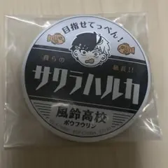 WIND BREAKER 桜遥 楡井秋彦　一番くじ 缶バッジ H賞