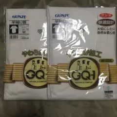 グンゼ 快適工房 肌着 M 2枚