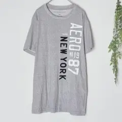 8132 エアロポステール 半袖Tシャツ カットソー トップス シンプル グレー