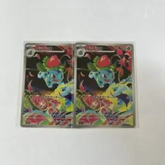 フシギソウar 2枚セット