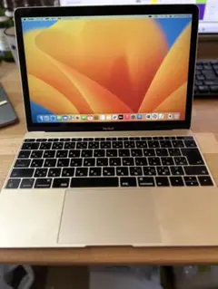 4.MacBook (12インチ　２０１７年）