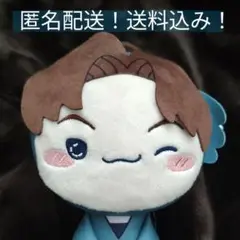 【匿名配送】新品タグ付き　忍たま乱太郎　もちぴこぬいぐるみ　山田利吉