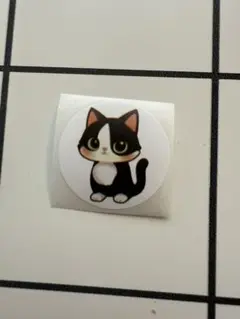 Item thumbnail for item ef0b10ca-4c51-4f2b-b77a-c1e12212e8d0