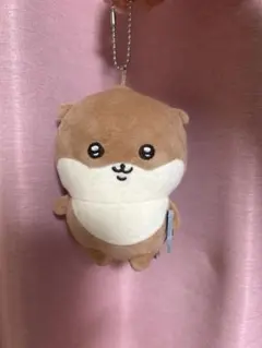 ナガノ　カワウソ　ナガノマーケット