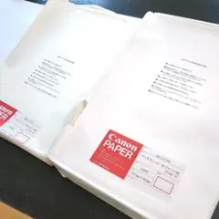 Item thumbnail for item ecba813d-7d71-449f-a891-e7adcf947d0f