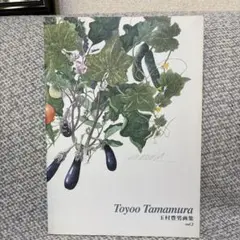 Toyoo Tamamura vol.2 玉村豊男 植物画集　チラシ付