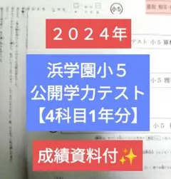 浜学園小５ 最新版2024年 公開学力テスト３科目 1年分 成績資料付✨