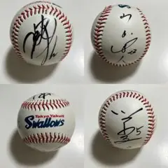 東京ヤクルトスワローズ　中村選手　直筆サインボール　ケース付き Amazon | ヤクルトスワローズ 岩村明憲選手 直筆サインボール