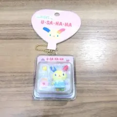 ミニチュアトイウサハナ