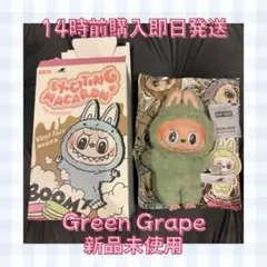 【正規品】LABUBU ラブブ GreenGrape グリーン マカロン