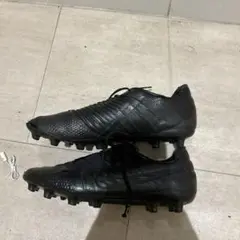 ファントムベノム 27センチ