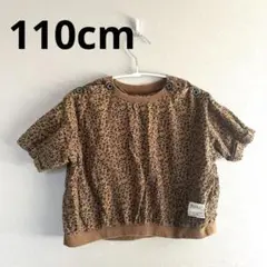 Item thumbnail for item ec5a8aa9-e881-4504-9ed0-7f6a2acfb3cd