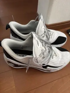 Curry11