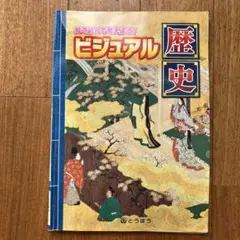 ビジュアル 歴史