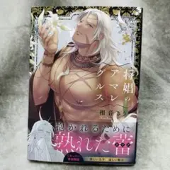将娼のアマレグルス .