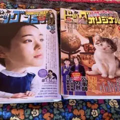 ビッグコミック9/10号とビッグコミックオリジナル9/5号